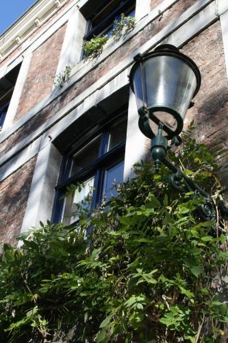 B&B Au Lion D'or – Photos 2