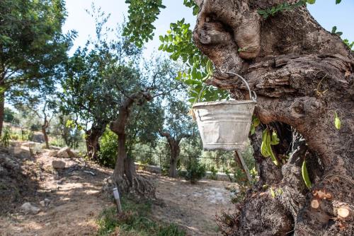 Zahrada ubytování Le Dimore di Mariuccia Relax & SPA