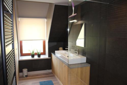 La salle de bains est pourvue d'un lavabo et d'un miroir. dans l'établissement Bed and garden, à Knokke-Heist