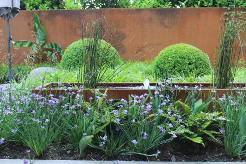 a garden with purple flowers and green plants at Bed and garden in Knokke-Heist
