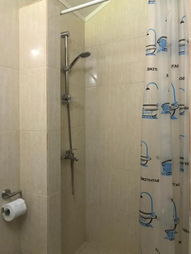 a shower with a shower curtain in a bathroom at Casa de vacanta Dana in Şugag