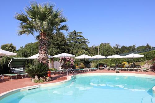 a large swimming pool with a palm tree and umbrellas at Casal d'Upupa in San Cesareo
