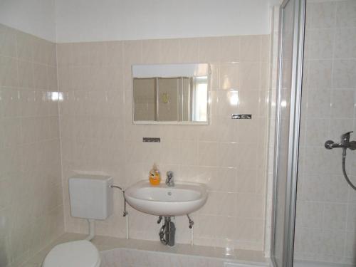 a bathroom with a sink and a toilet and a shower at Ferienappartements Rindfleisch in Stralsund