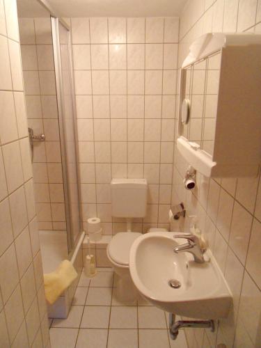 a small bathroom with a toilet and a sink at Ferienappartements Rindfleisch in Stralsund