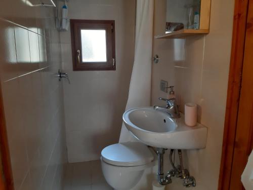 Porcellana Twenty-Six Florence Wi-Fi Apartment