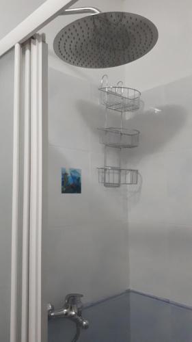 Apartment Maxim