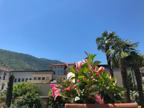 a flower pot with pink flowers and palm trees at Hotel Antica Stallera in Cannobio