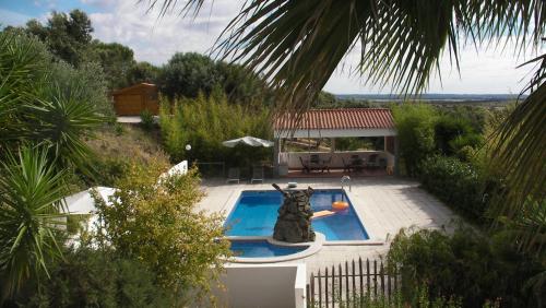 a swimming pool with a cat statue in a yard at Holiday home Monte das Azinheiras in Arraiolos