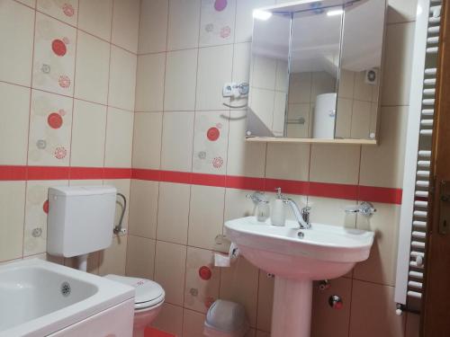 ein Badezimmer mit einem Waschbecken, einem WC und einem Spiegel in der Unterkunft Apartments Šćepanović in Kolašin