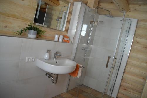 a bathroom with a sink and a shower at Schwalli's Ferienhaus Am Wipperberg in Korbach