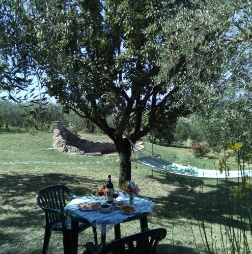 Zahrada ubytování B&B Il Poggetto