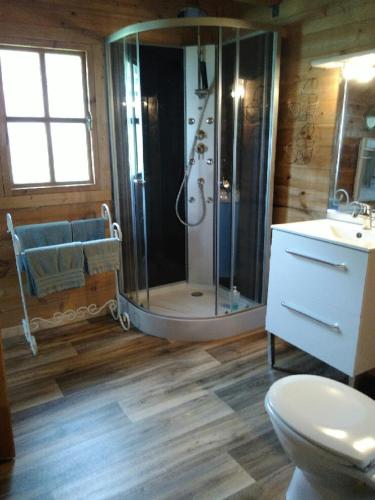 une salle de bain avec une douche, des toilettes et un lavabo dans l'établissement La Ferme du Bien Etre, à Athée-sur-Cher