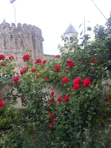 un arbusto de rosas rojas delante de un castillo en Guest House Sveti en Mtskheta