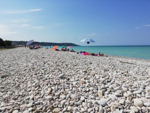 a large group of rocks on a beach at Albergo Roma in Lanciano