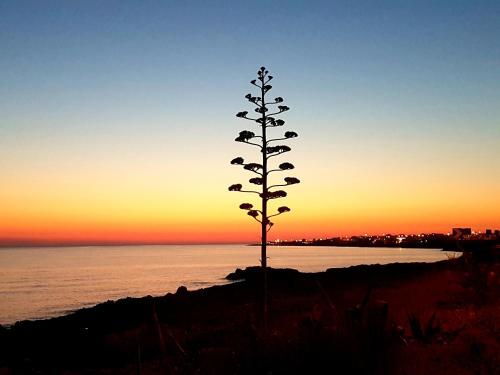 Lu Salentu Guest House – Photos 3