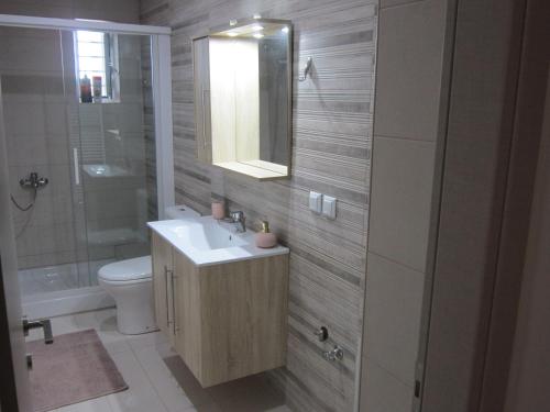 a bathroom with a sink and a toilet and a mirror at Blue Yard Apartments in Kalamata