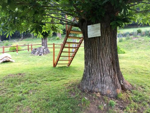 a tree with a sign attached to a tree at 2 CUORI E UN B&B in Sueglio