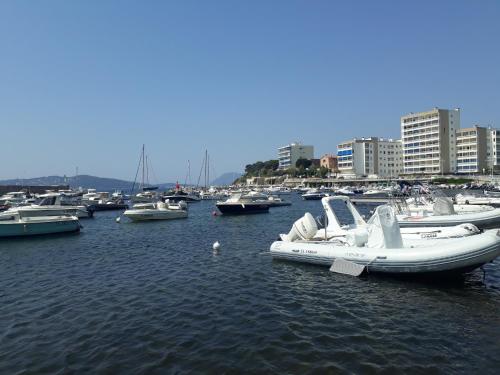 a group of boats docked in a harbor at Appartement Le Cap in Toulon