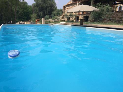 une piscine bleue avec un ballon d'eau dans l'établissement Mobil Home à la ferme, en Provence, à Grambois