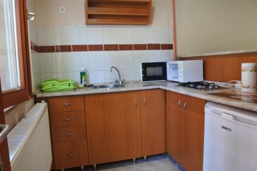 a kitchen with a sink and a microwave at Tessedik Vendégház in Hajdúszoboszló