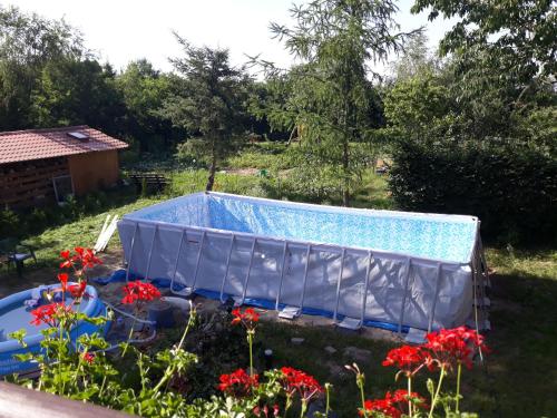 a swimming pool in a yard with flowers at Dworska Zagroda in Korytowo