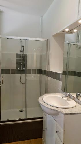 a bathroom with a glass shower and a sink at La Jouissiere in Soulignac