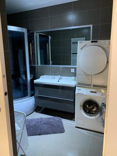 a bathroom with a washing machine and a sink at Yacht Club Apartamenty in Radzyń