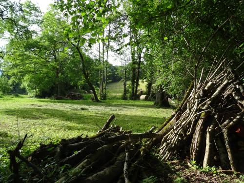 a pile of logs in a field with trees at La Terralha in Saint-Pierre-Toirac