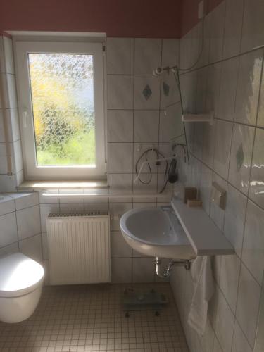 a bathroom with a sink and a toilet and a window at Ferienwohnung Herbsleben in Herbsleben