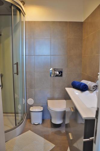 a bathroom with a toilet and a sink and a shower at Casa Miguel in Carvoeiro