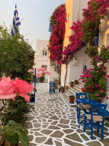 a walkway with flowers and blue chairs and stairs at Pelagos Studios in Parikia