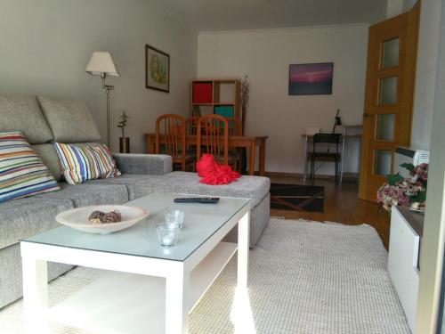 APARTAMENTO PEREGRINOS y USO TURISTICO CENTRO DE A GUARDA