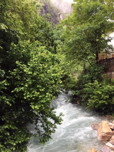 a stream of water with trees next to a river at Vila Alexander B&B in Valbonë