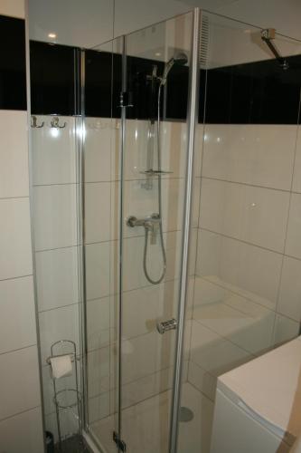 a shower with a glass door in a bathroom at Apartament Miedzianka in Polkowice