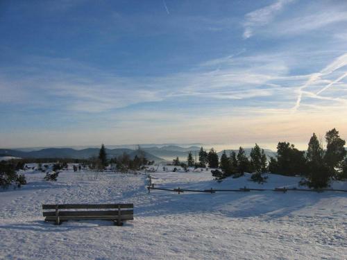 a bench in a snow covered field with trees at Hotel Restaurant Falken in Baiersbronn