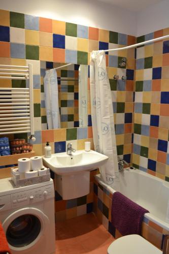 y baño con lavabo y lavadora. en Apartamento Puerta del Pirineo, en Sabiñánigo