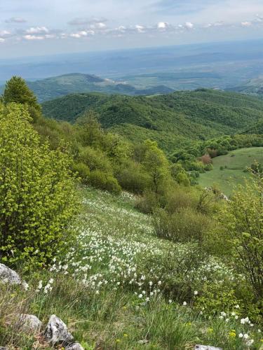 Φυσικό τοπίο κοντά σε αυτός ο ξενώνας