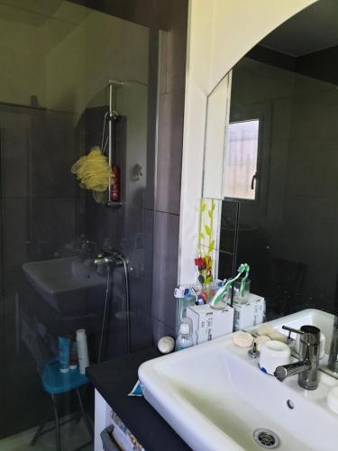 ein Bad mit einem Waschbecken und einem Spiegel in der Unterkunft Brigitte Carbonnel in Aydat