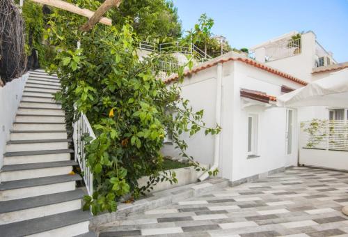 a staircase leading up to a white house with a bunch of plants at villa orleans in Amalfi