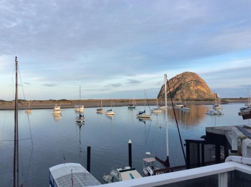 a group of boats docked in a body of water at Gray's Inn & Gallery in Morro Bay