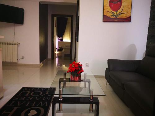 Photo de la galerie de l'établissement Apartament Lenus'k, à Bucarest