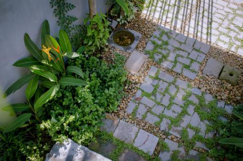 an overhead view of a garden with plants at The Purple Hue Homestay in Hue