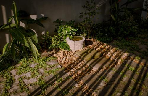 a garden with plants and a bench with shadows at The Purple Hue Homestay in Hue