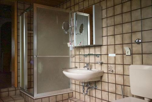 y baño con lavabo y ducha con espejo. en Entire house, quiet city location, garden, parking, en Bielefeld