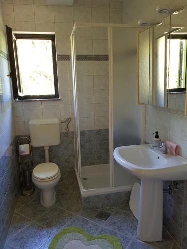 a bathroom with a toilet and a sink and a shower at Vila Kajče in Omišalj
