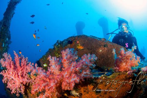 Гости Relax Bali Dive & SPA ocean front resort