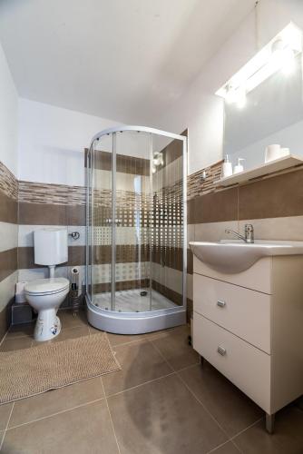 a bathroom with a shower and a toilet and a sink at La Tusa Dusa in Ocolişu Mic
