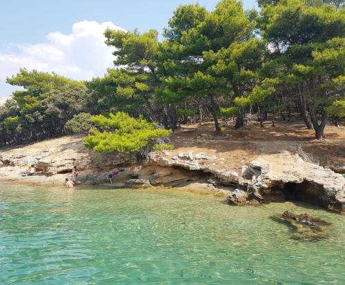 a body of water with trees on a rocky shore at Salt & Stone Villa in Pag