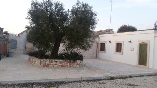 a tree sits in front of a white building at Agriturismo L'Aire Alberobello in Alberobello