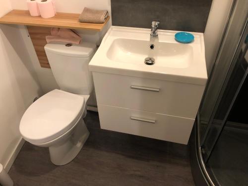une salle de bain avec toilettes et lavabo dans l'établissement Chambre privative, à Saint-Rémy-sur-Durolle